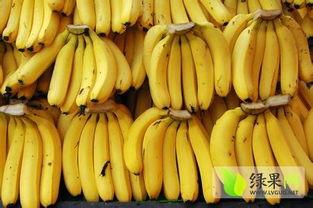 精品香蕉香蕉,探寻精品香蕉的独特魅力