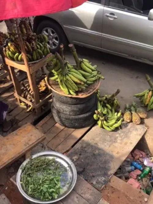 大香蕉不一样的精品,探寻别样风情的精品之旅